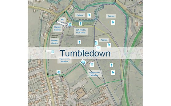 Tumbledown project
