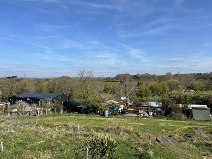 Grounds at Tumbledown.