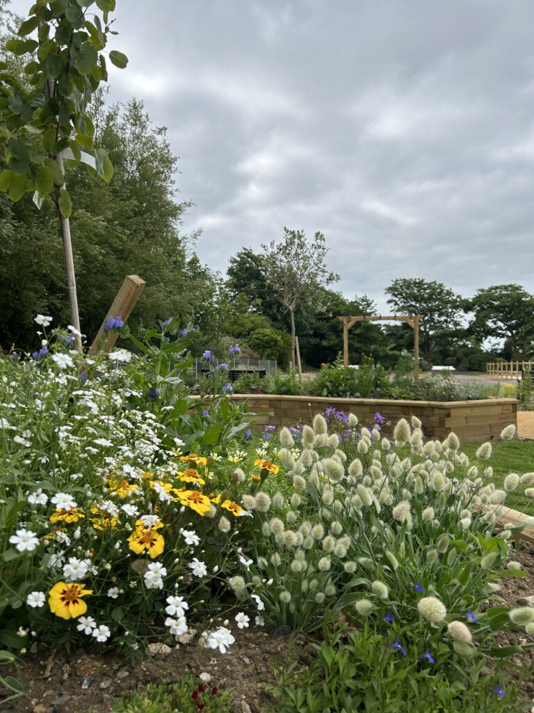 Sensory Gardens in Radipole Park and Gardens.